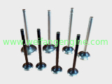 Exhaust Valve for Weifang Diesel Engine 295/495/4100/4105/6105/6113/6126